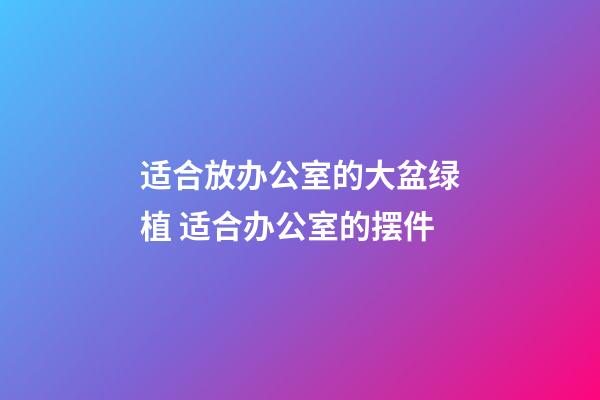 适合放办公室的大盆绿植 适合办公室的摆件